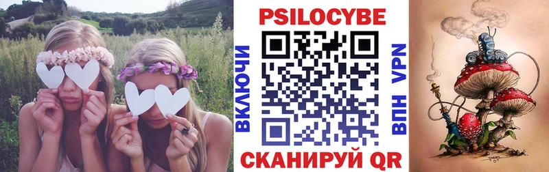 Псилоцибиновые грибы прущие грибы  Сретенск 